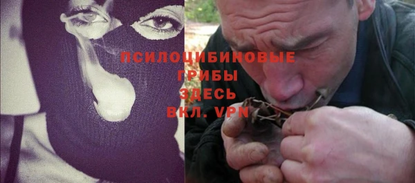 спиды Алзамай