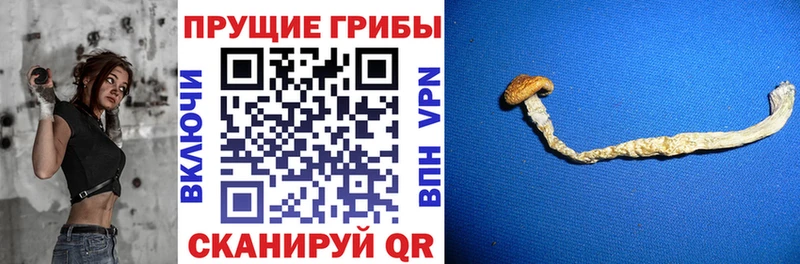 Псилоцибиновые грибы GOLDEN TEACHER  Заозёрный 
